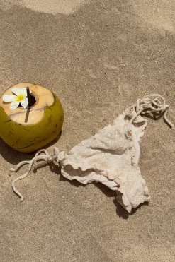 14+ paloma cheeky bikini bottom