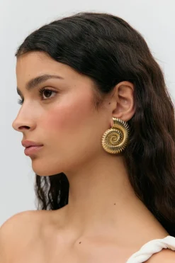 Sea shell earrings