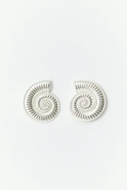 Sea shell earrings